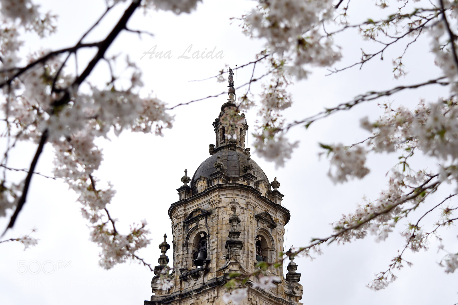 Nikon D7200 sample photo. Primer domingo de primavera photography
