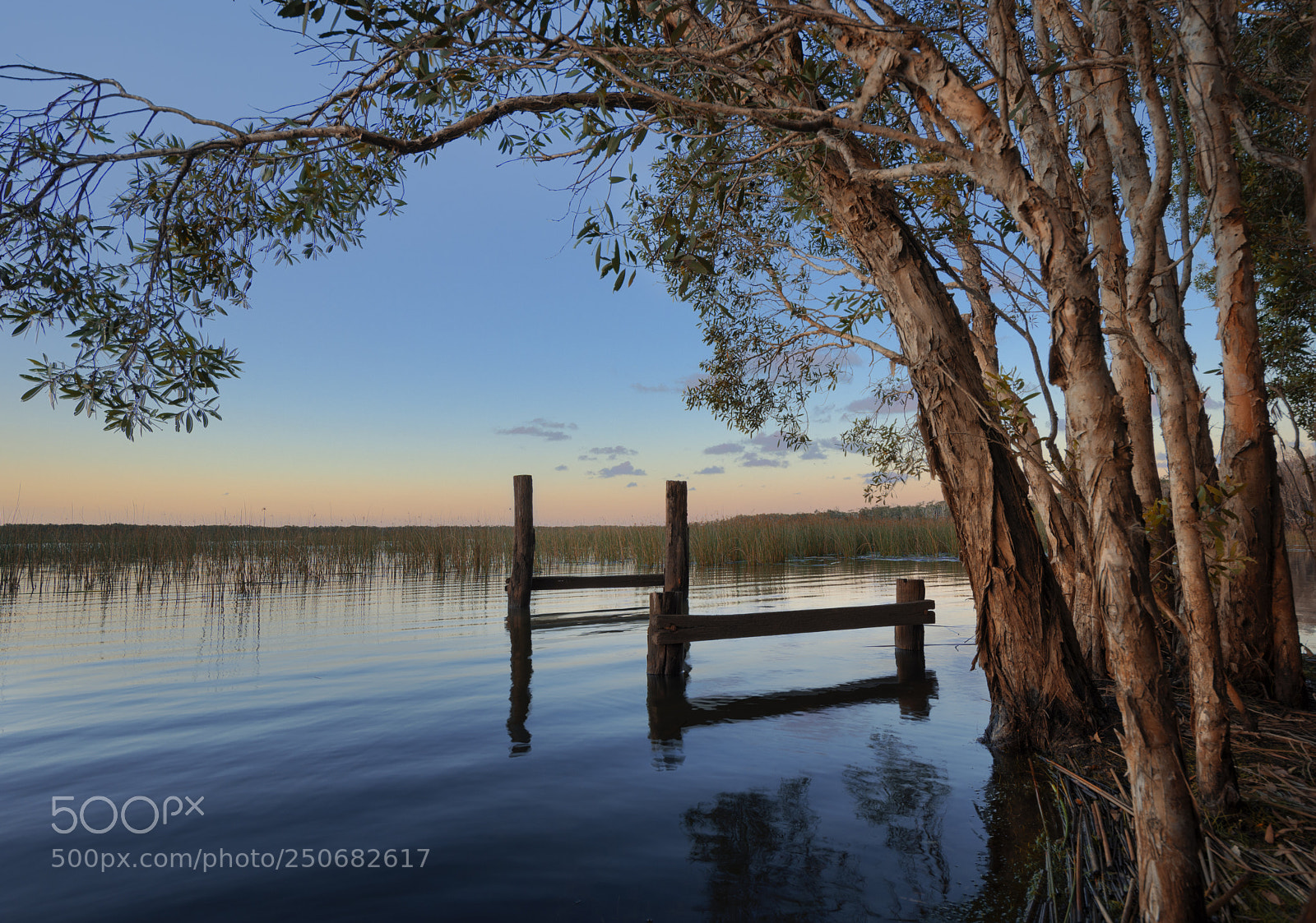 Nikon D7200 sample photo. Old jetty at cabarita photography