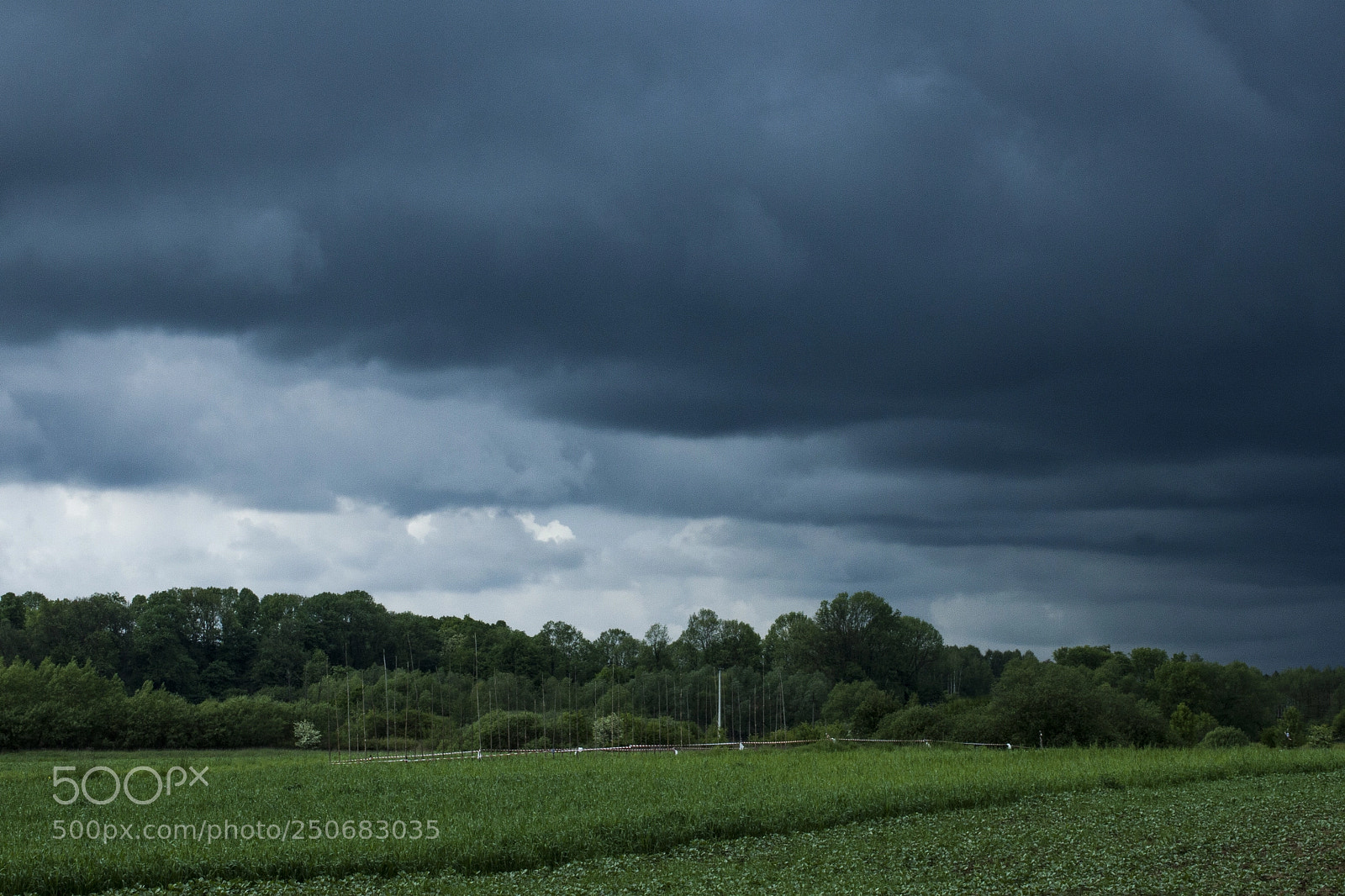 Canon EOS 500D (EOS Rebel T1i / EOS Kiss X3) sample photo. Before storm photography