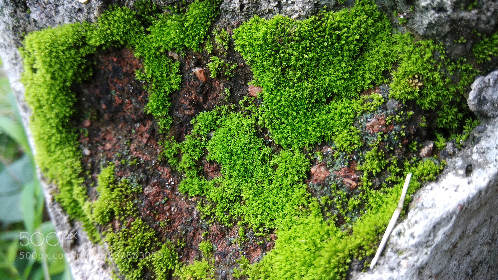 Xiaomi Redmi Note 4 sample photo. Untitled photography