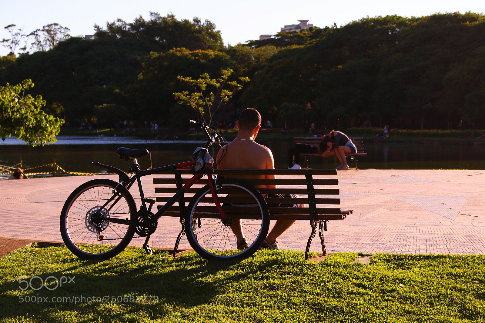 Canon EOS 700D (EOS Rebel T5i / EOS Kiss X7i) sample photo. Untitled photography