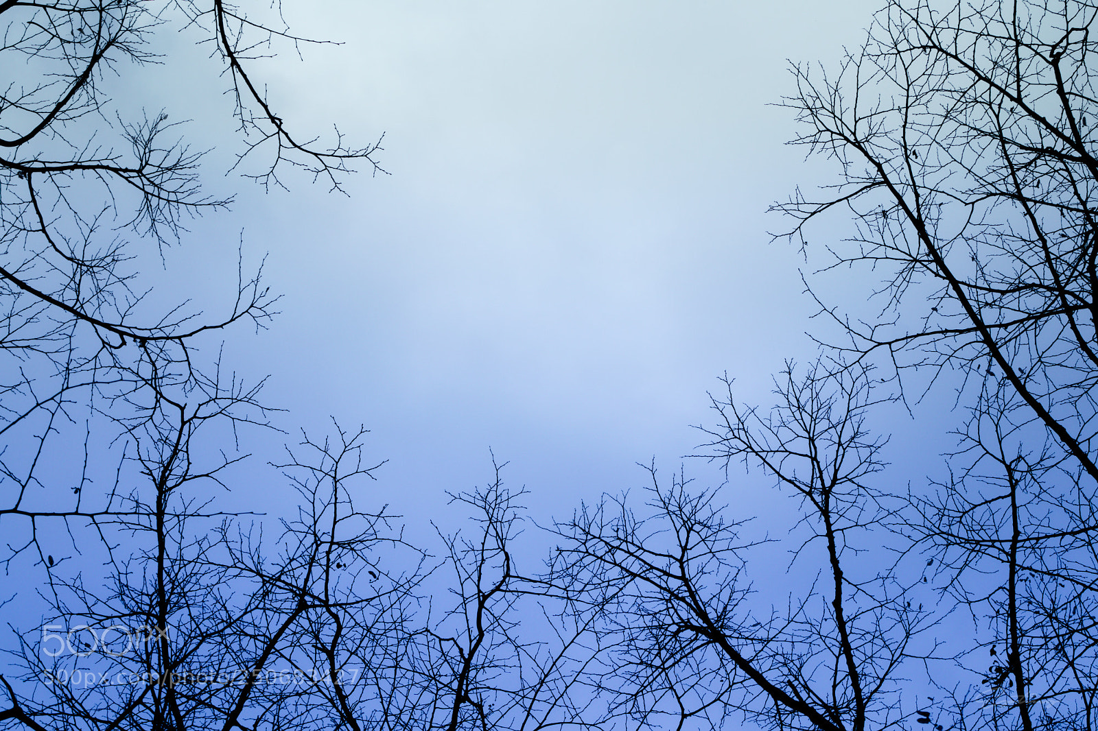Canon EOS 70D sample photo. Untitled photography
