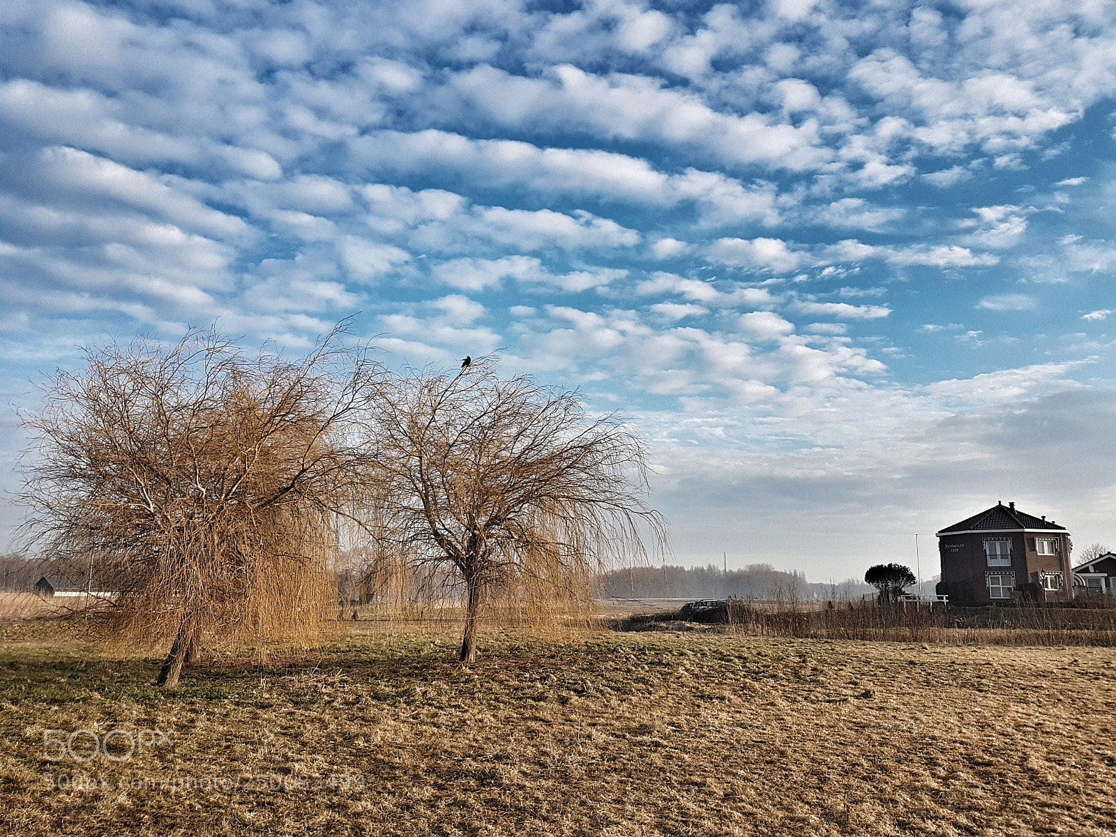 Samsung Galaxy S7 sample photo. Spring clouds photography