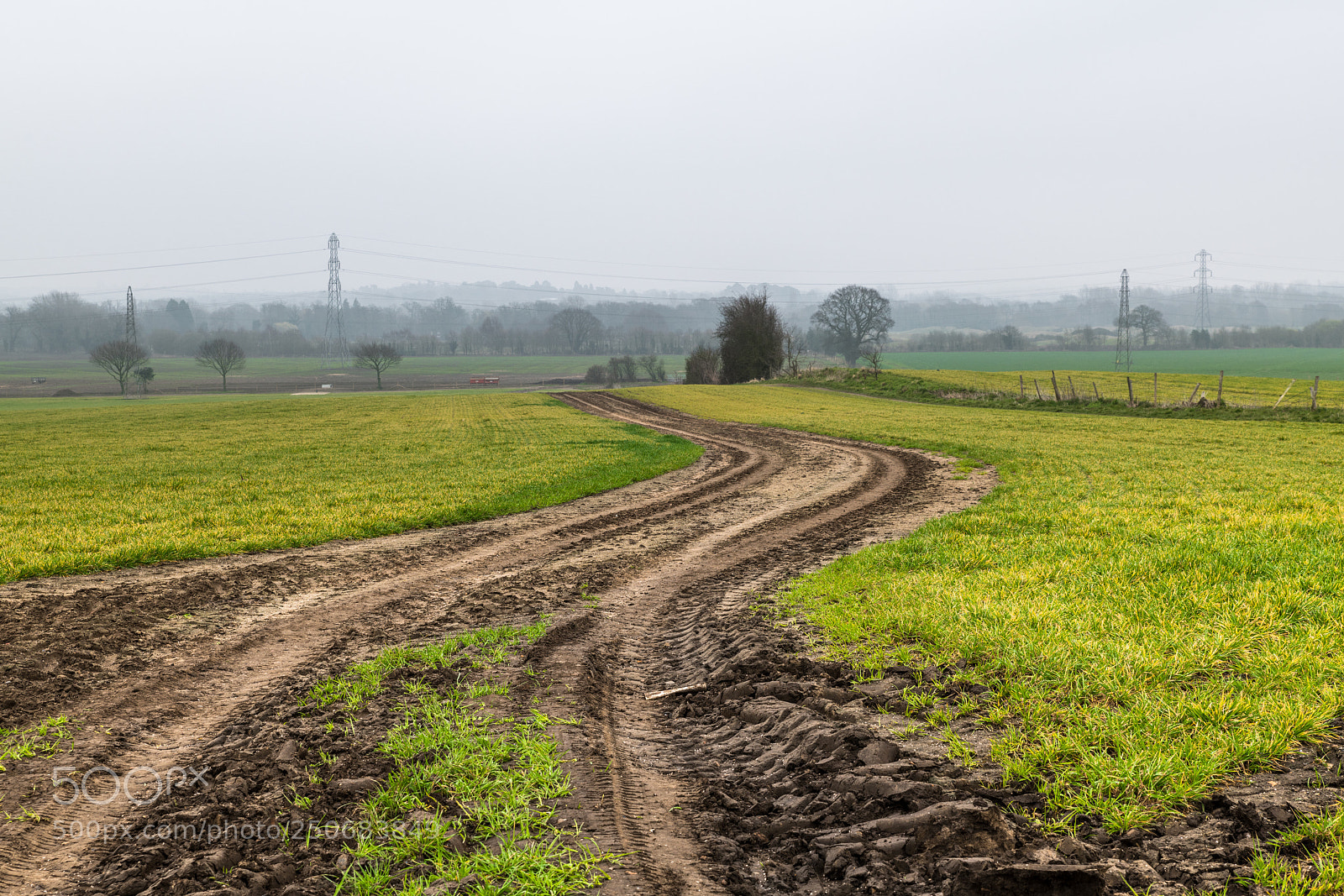 Nikon D850 sample photo. Looking yonder photography