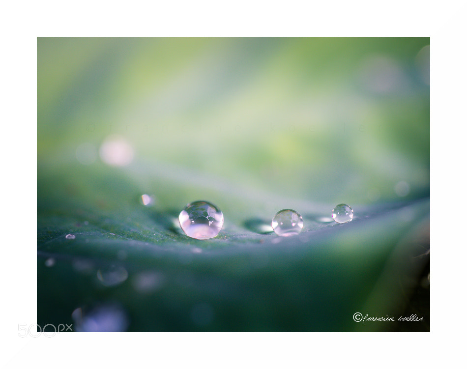 Canon EOS 6D Mark II sample photo. Three droplets photography