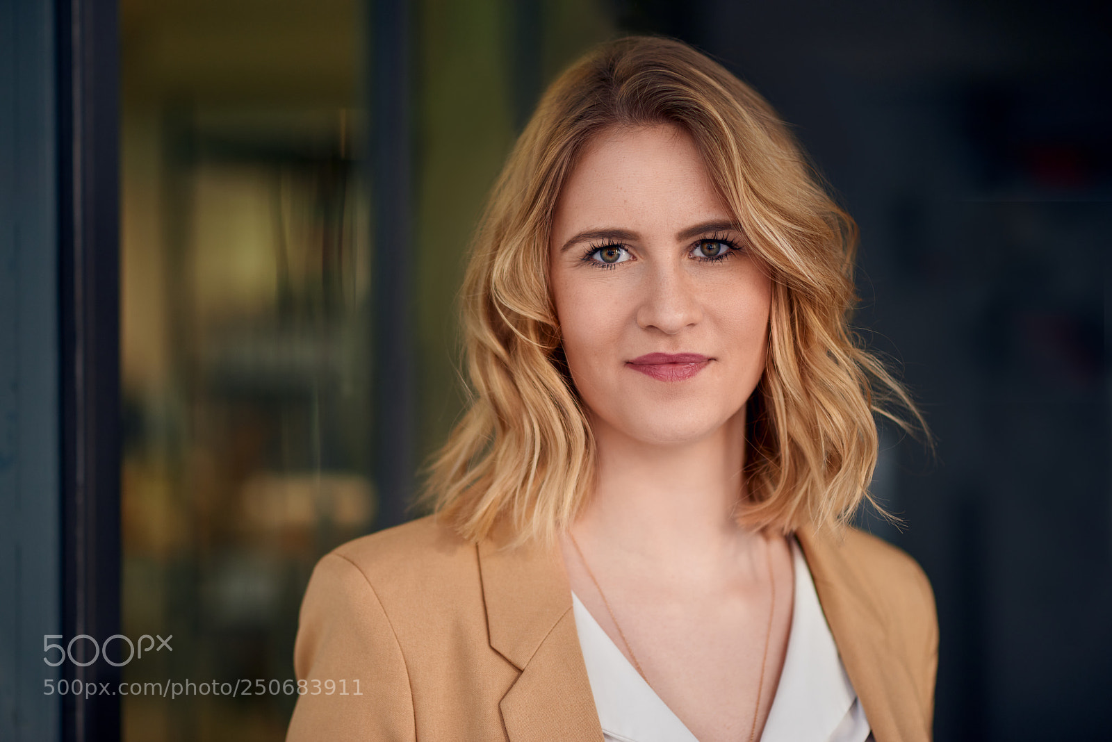 Nikon D800 sample photo. Elegant woman standing against photography