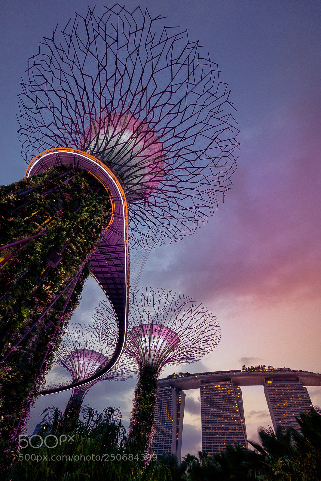 Sony a7S II sample photo. Gardens by the bay photography