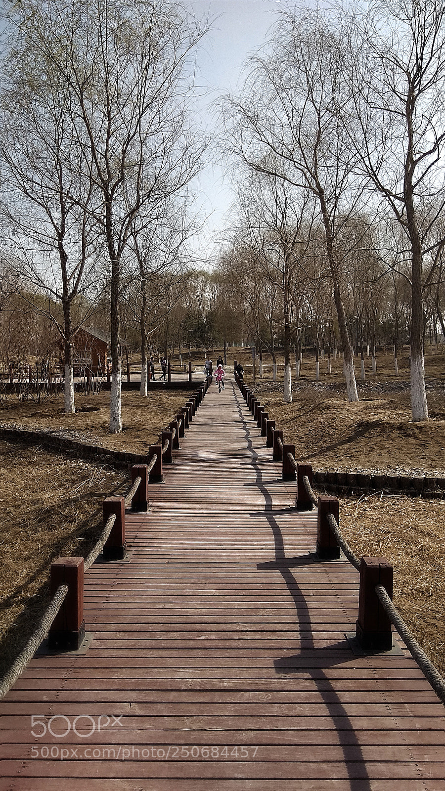 Xiaomi Redmi Note 4X sample photo. A bike riding girl photography