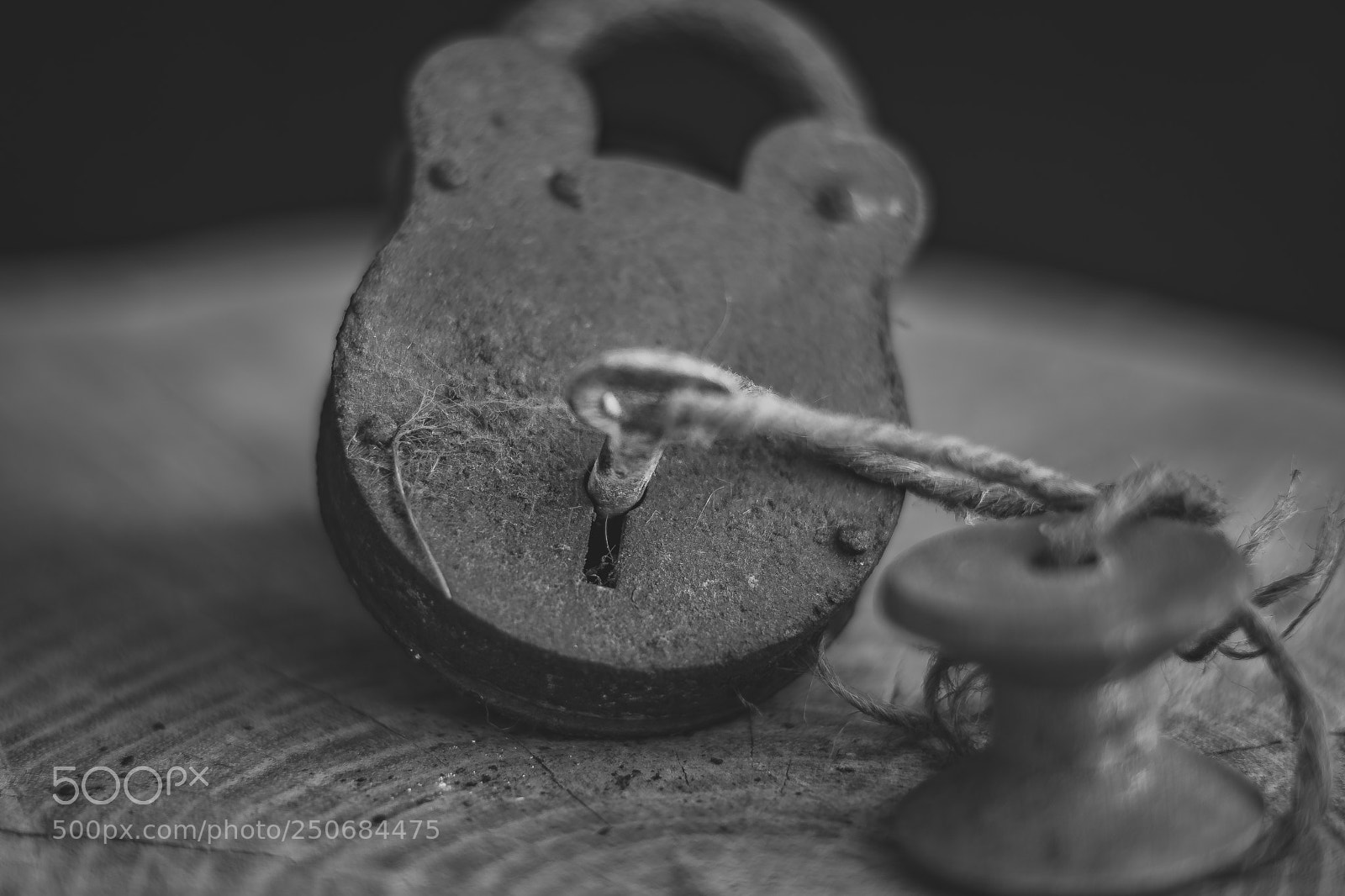 Nikon D7200 sample photo. Locked photography