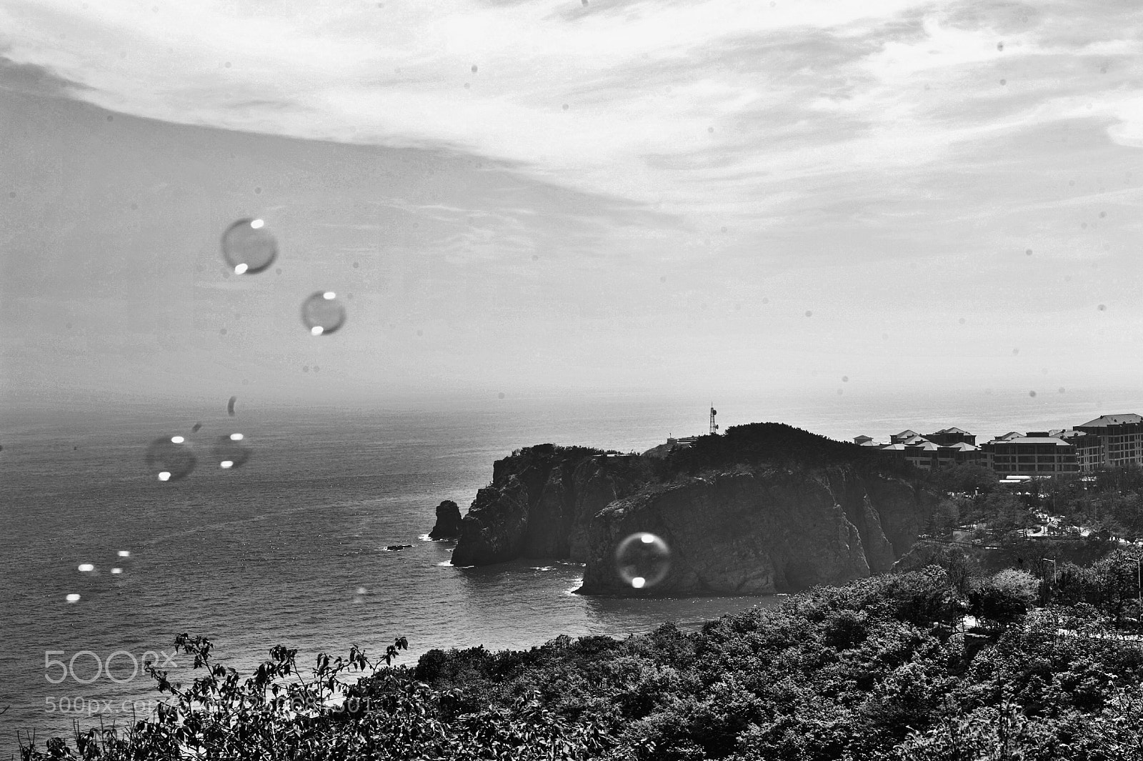 Nikon D700 sample photo. Untitled photography