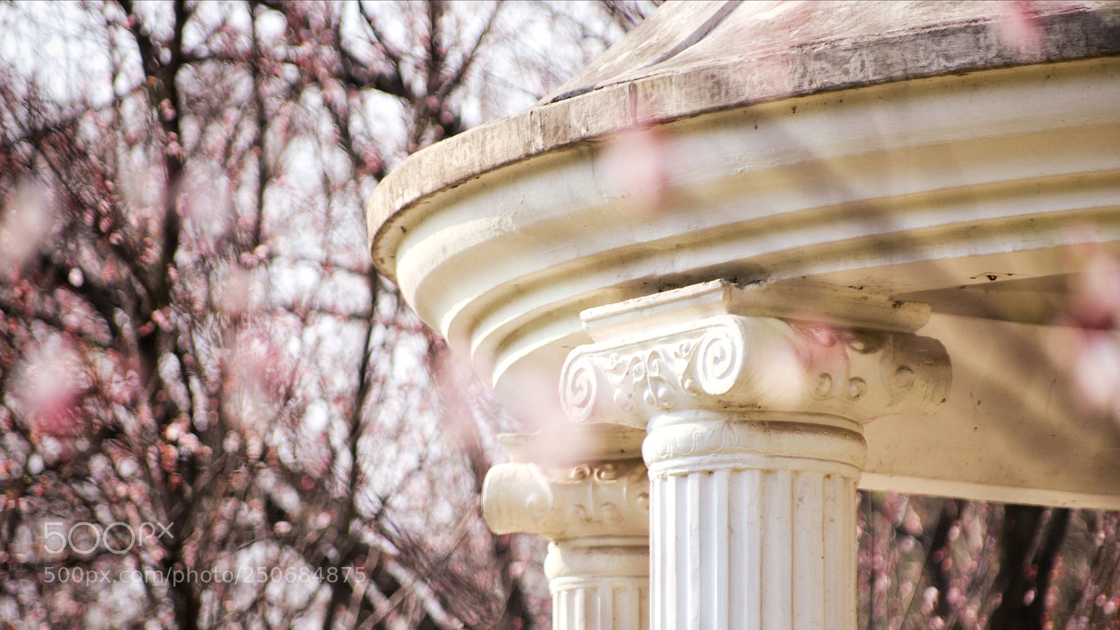 Pentax K-3 II sample photo. Nanjing botanical garden, i photography