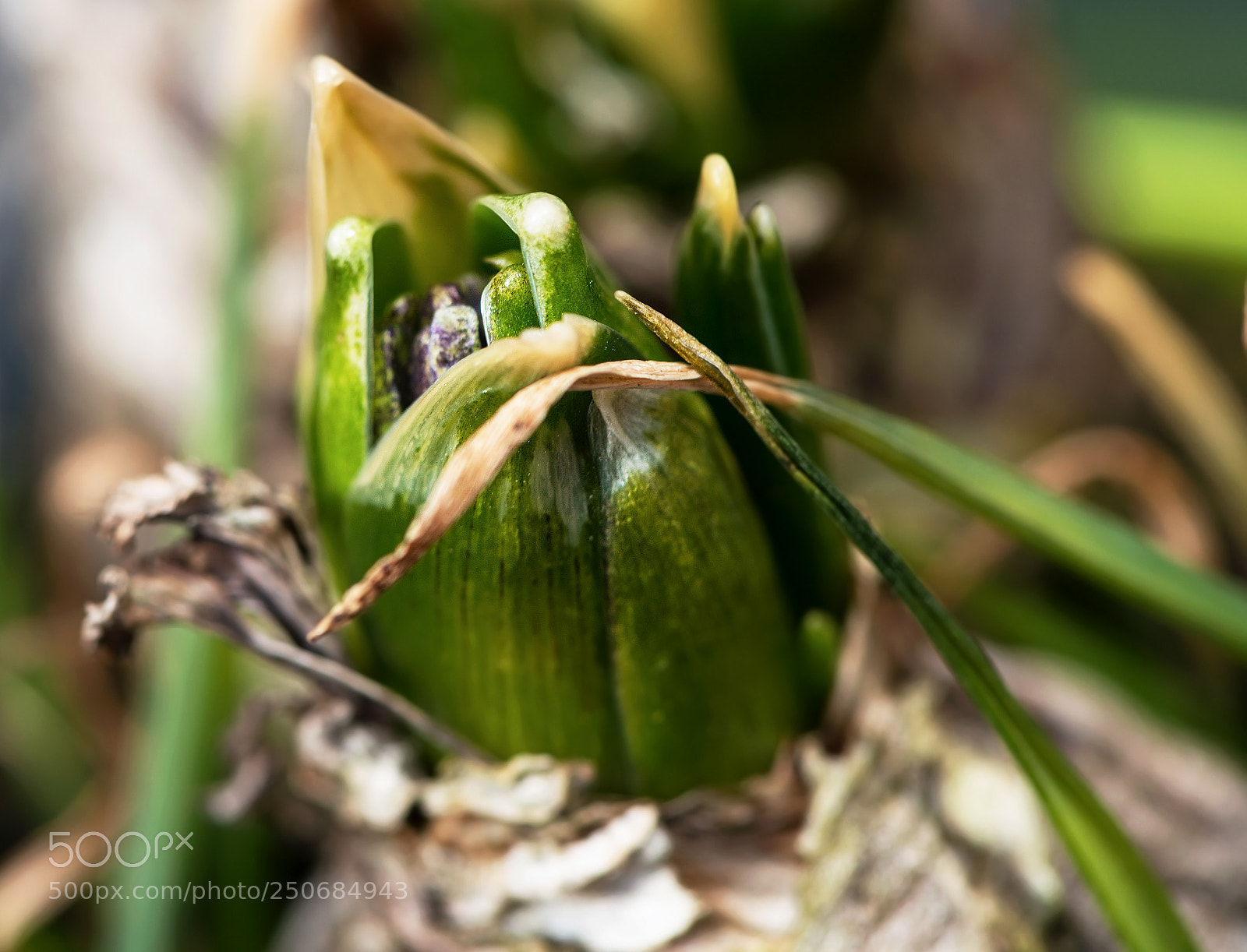 Nikon D800 sample photo. A new chapter.. photography