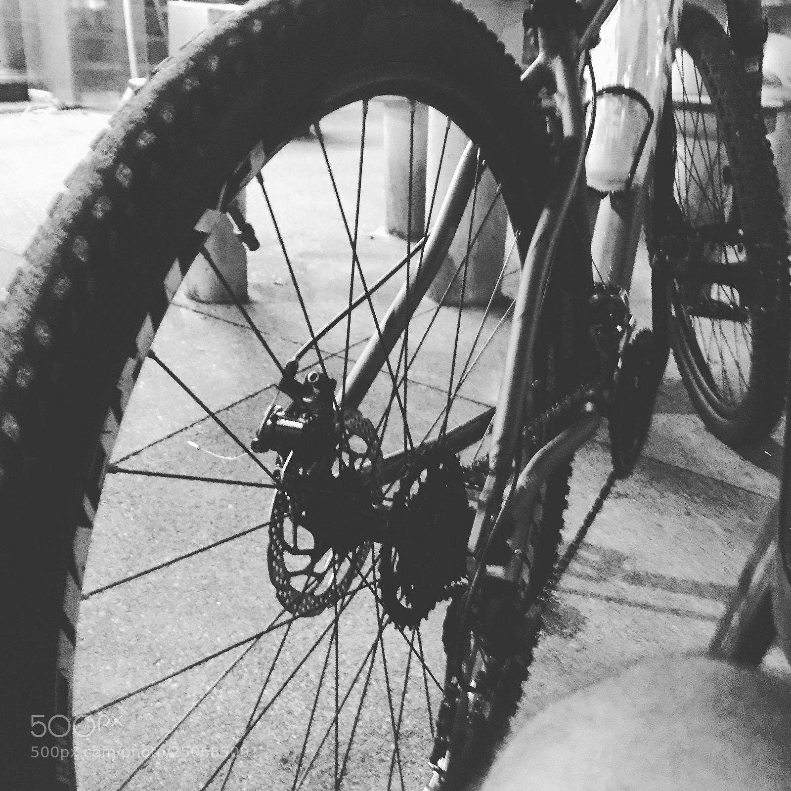 Apple iPhone 6 sample photo. Untitled photography