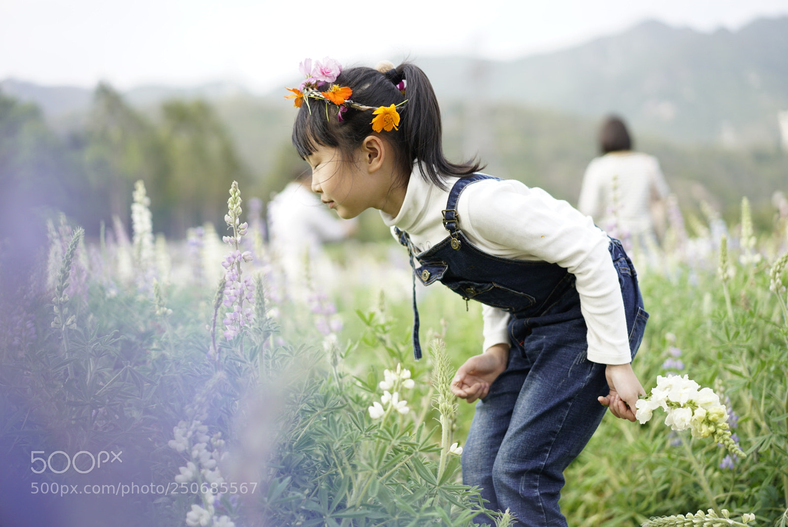 Sony a7R II sample photo. Untitled photography