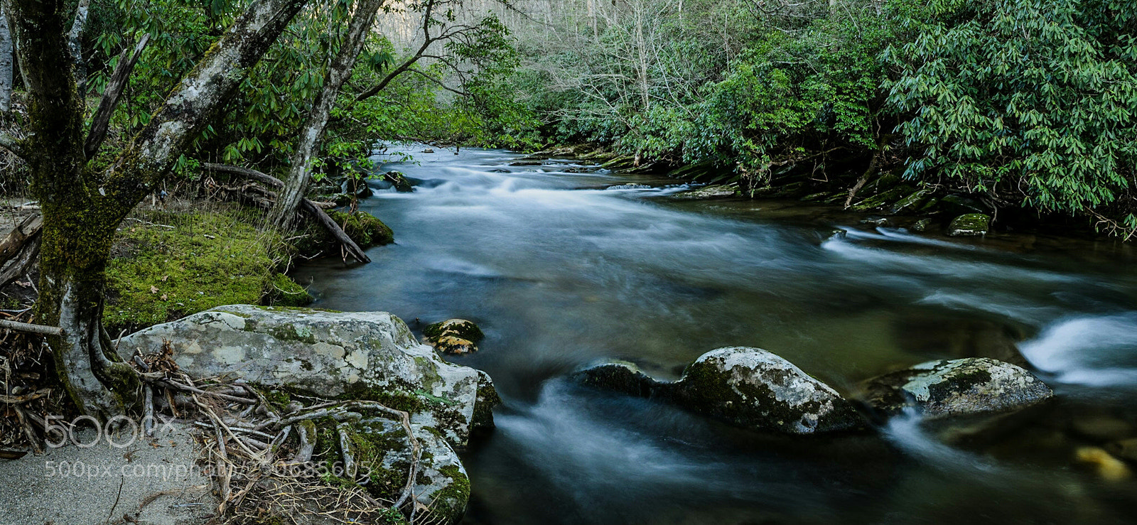 Nikon D7000 sample photo. And we can't control photography