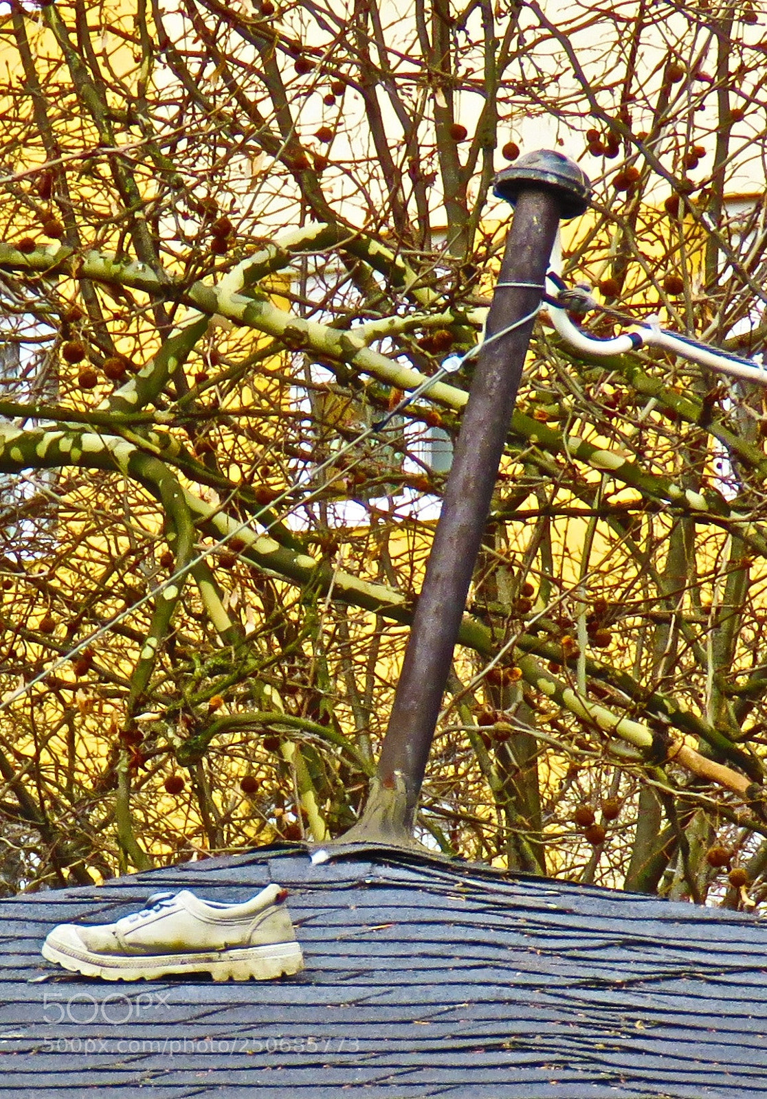 Canon PowerShot SX60 HS sample photo. Roof walker photography