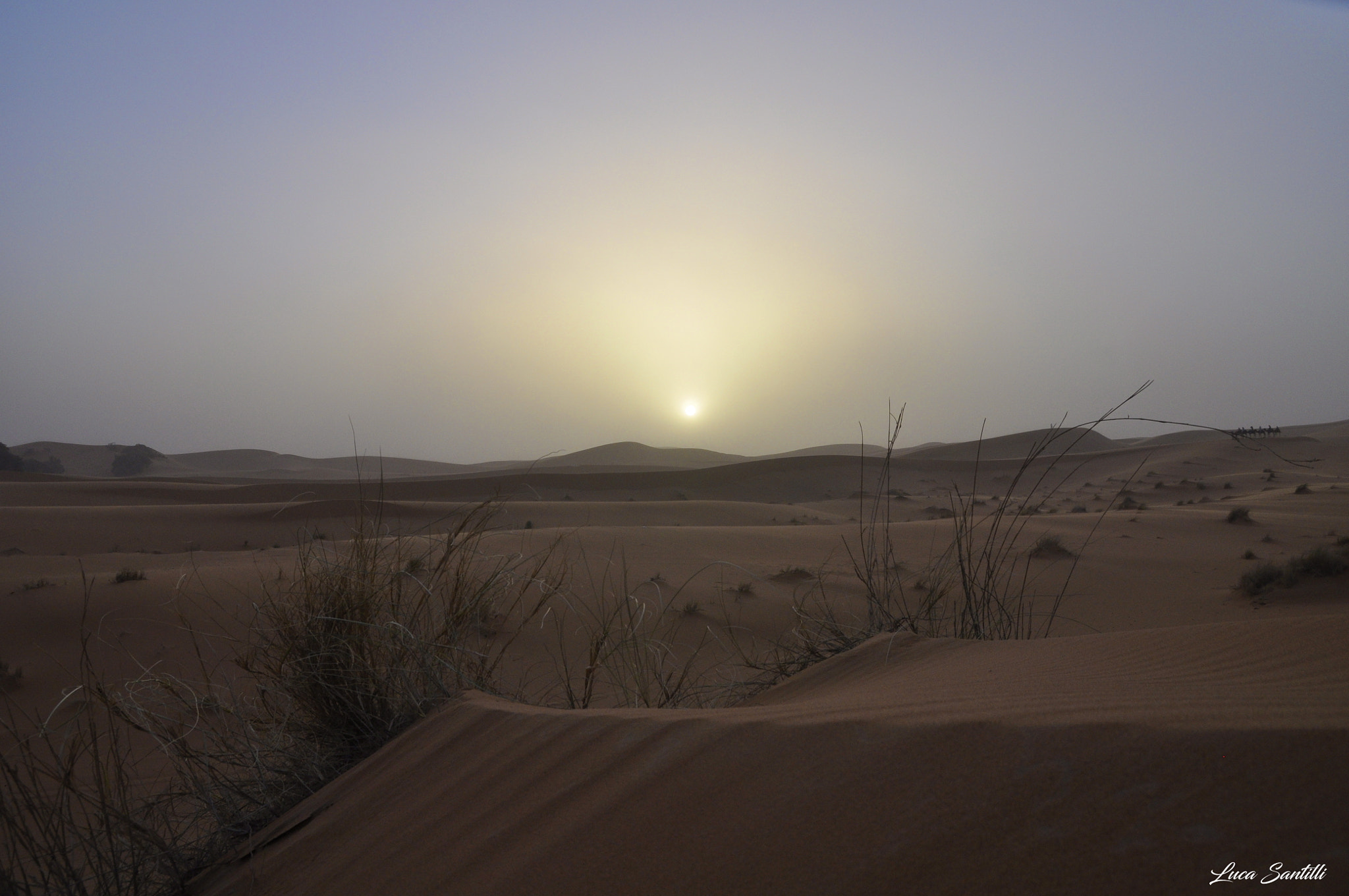 Sigma 17-70mm F2.8-4 DC Macro OS HSM | C sample photo. Tramonto nel deserto photography