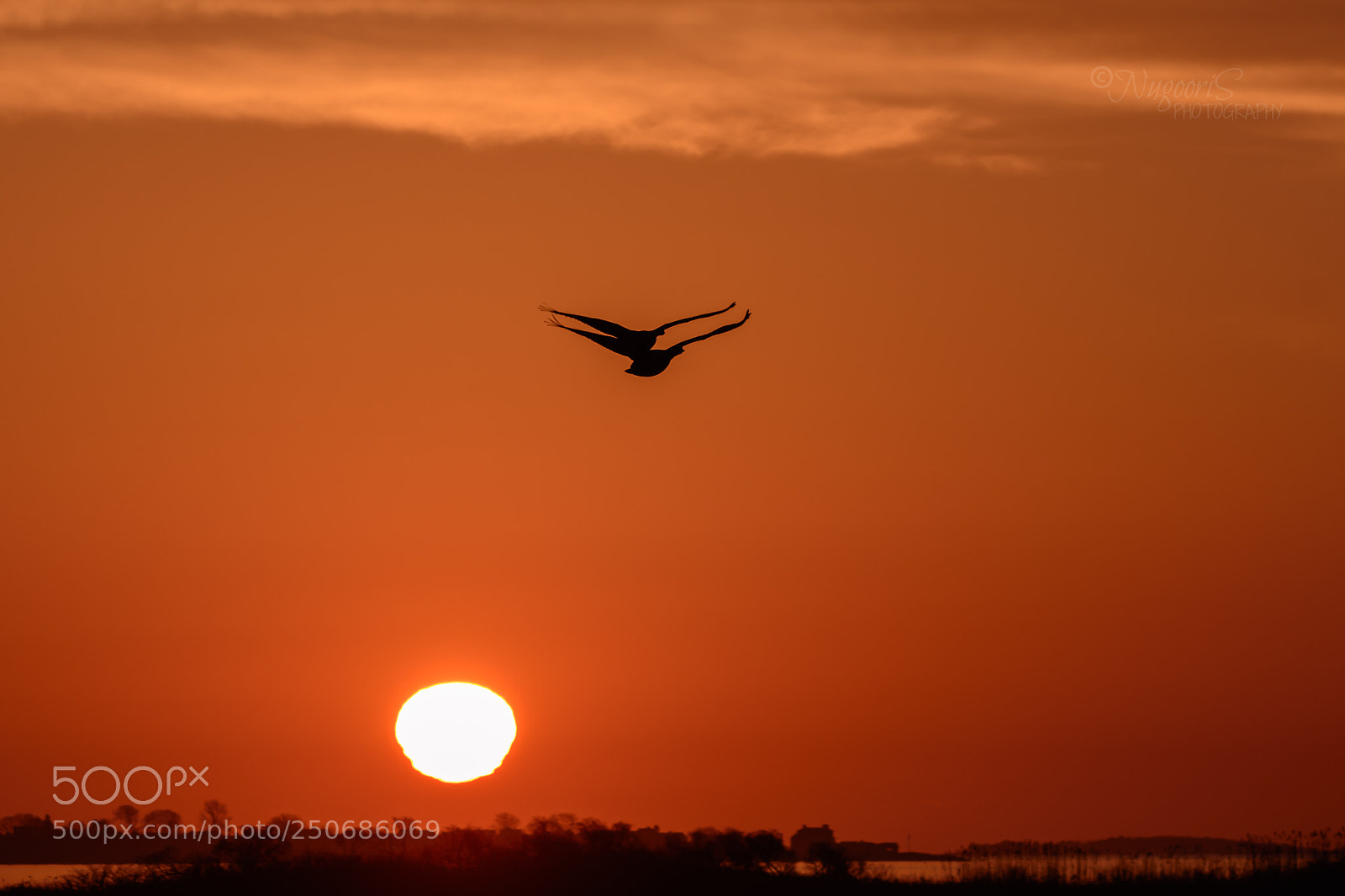 Nikon D500 sample photo. Sunrise photography