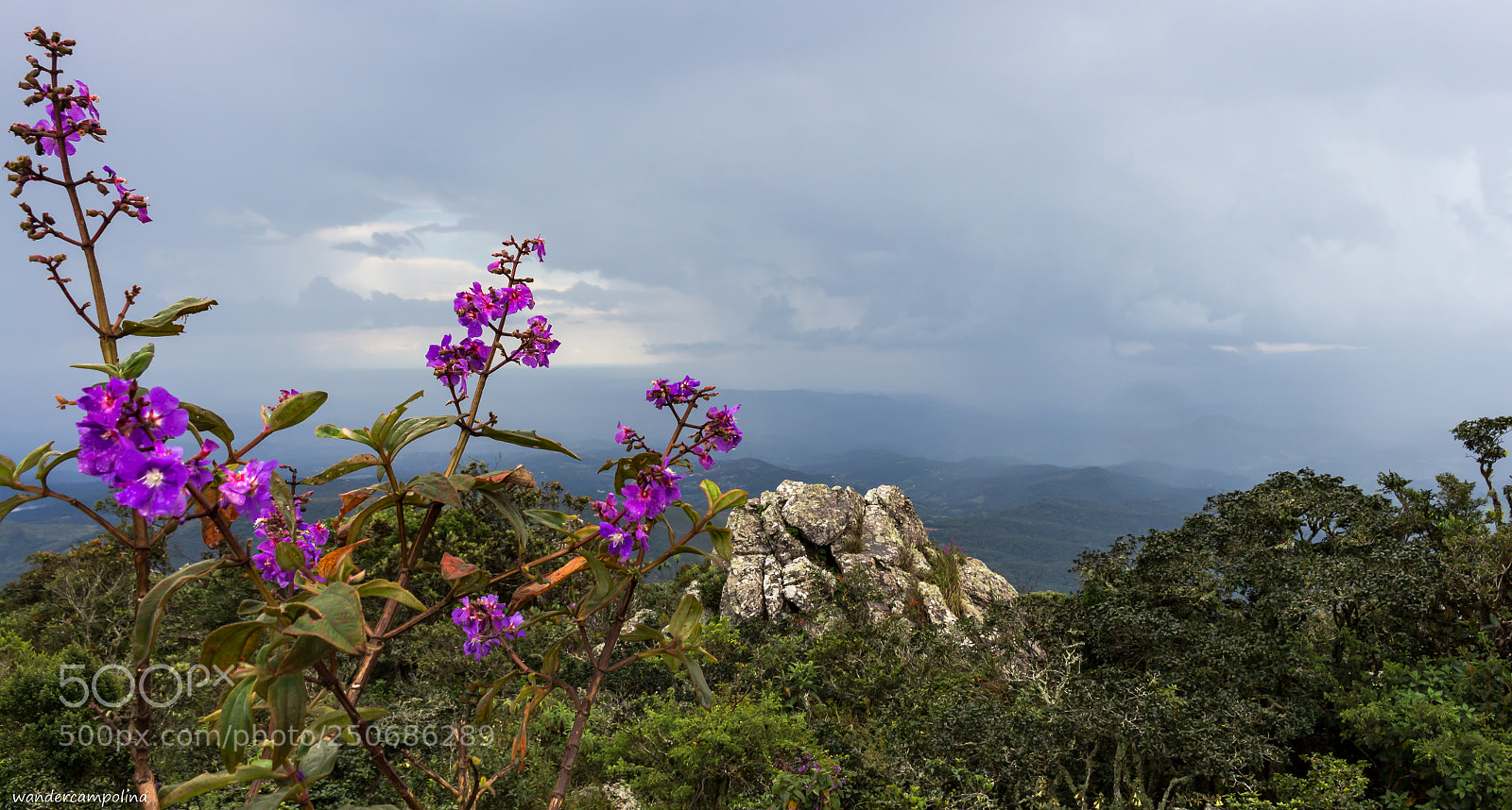Canon EOS 700D (EOS Rebel T5i / EOS Kiss X7i) sample photo. Horizon photography
