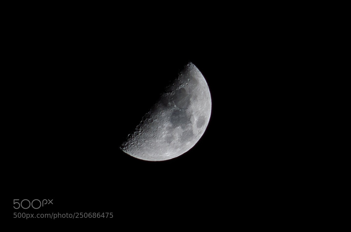 Nikon D7000 sample photo. Untitled photography