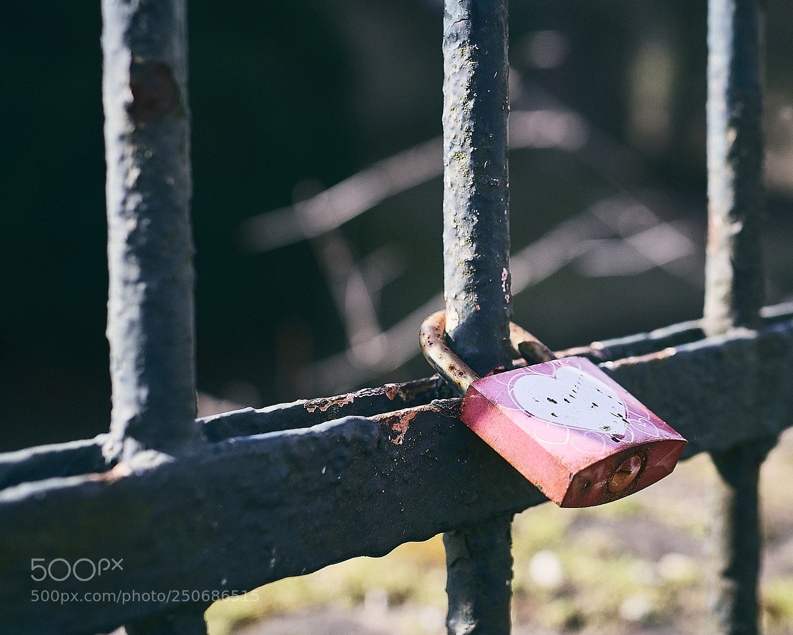 Nikon D500 sample photo. Key to the heart photography