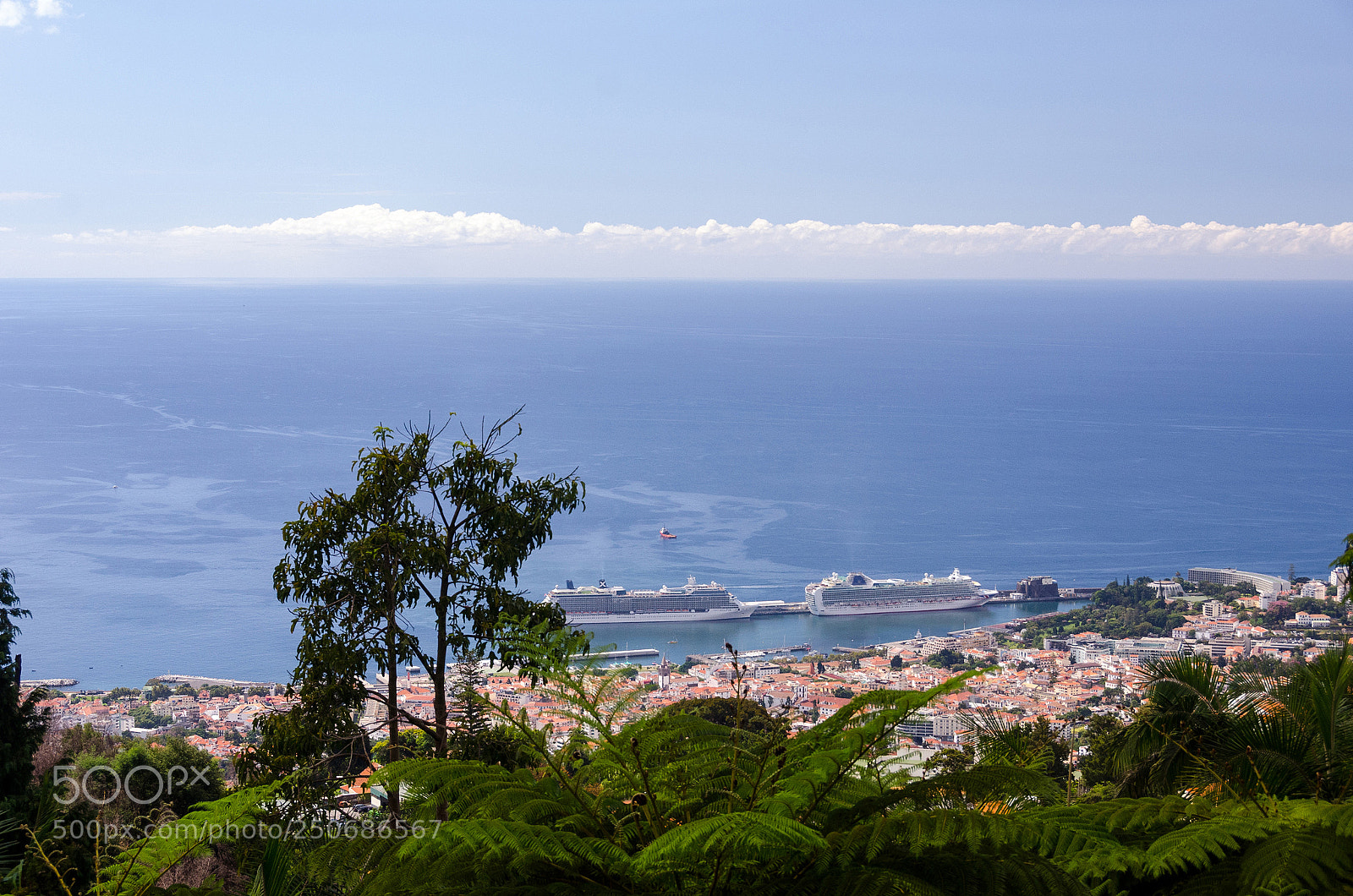 Nikon D7000 sample photo. Port photography
