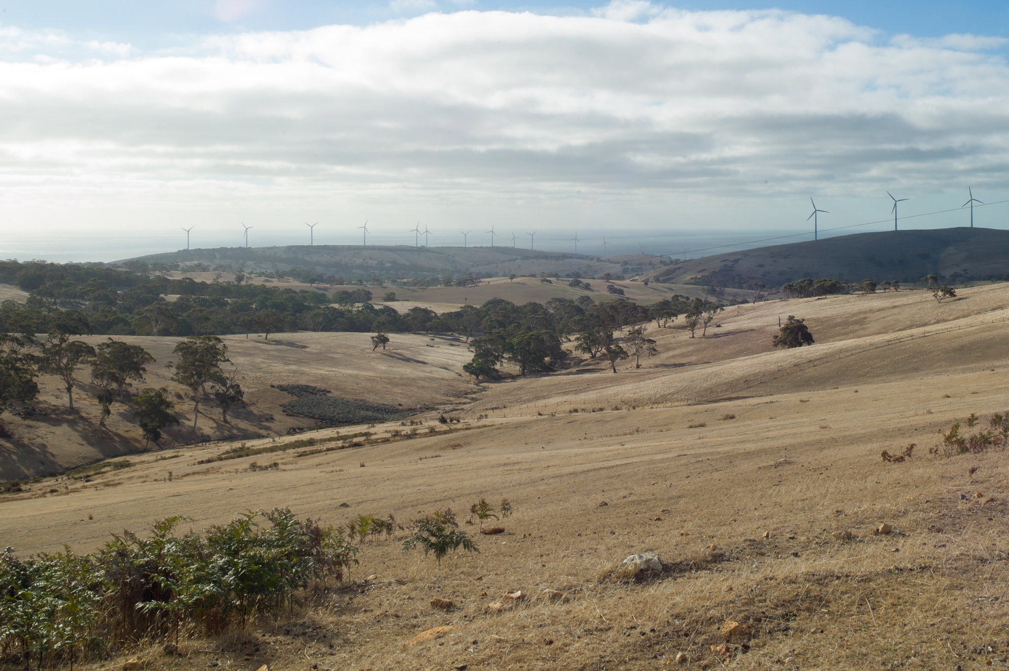 Leica M9 + Elmarit-M 28mm f/2.8 (III) sample photo. Plains photography