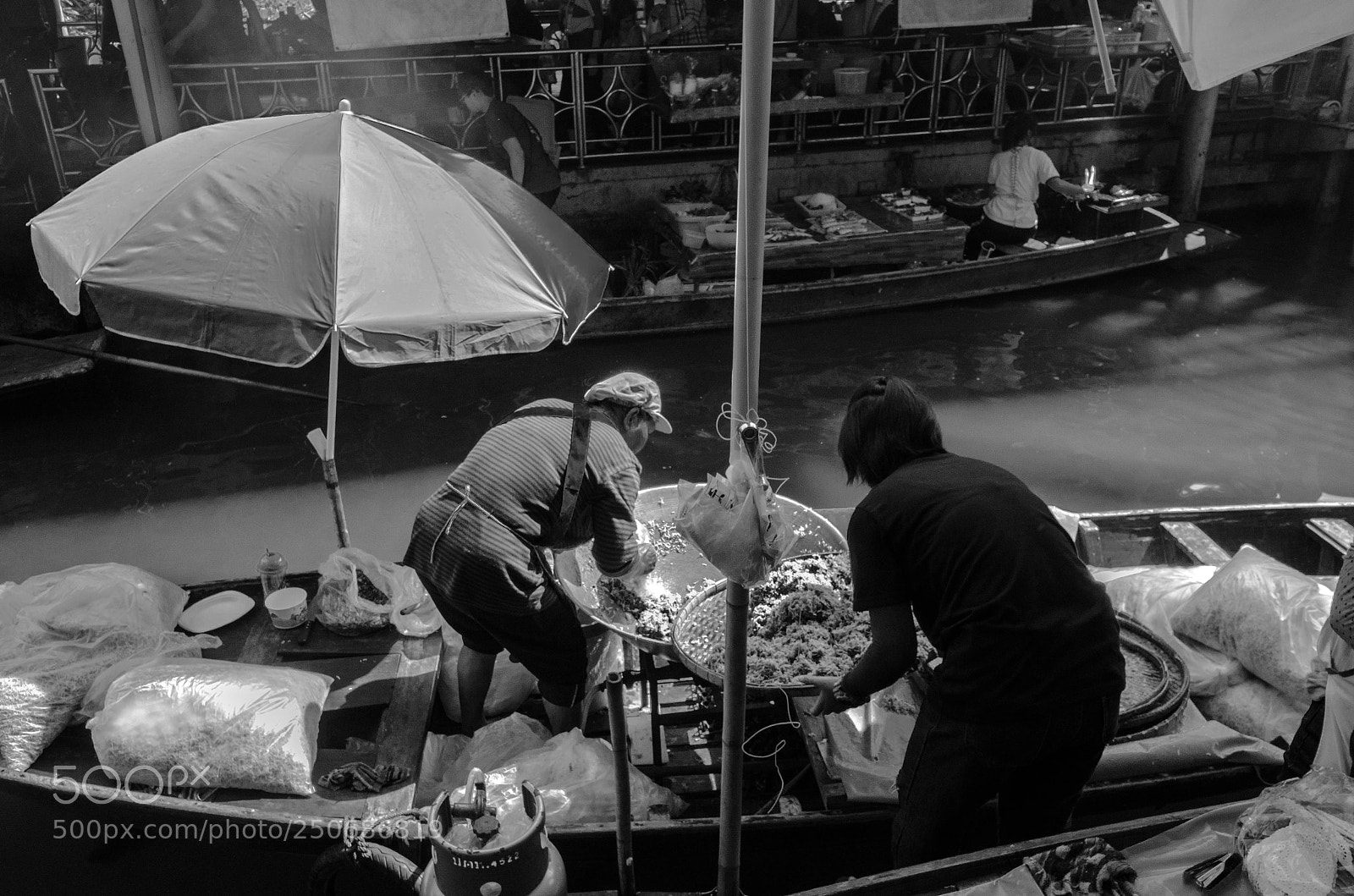 Nikon D7000 sample photo. Hard at work photography