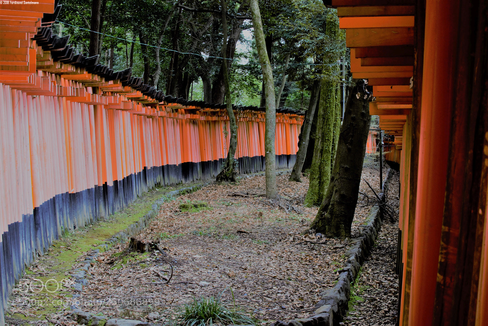 Nikon D5300 sample photo. Fushimi kyoto - gates photography
