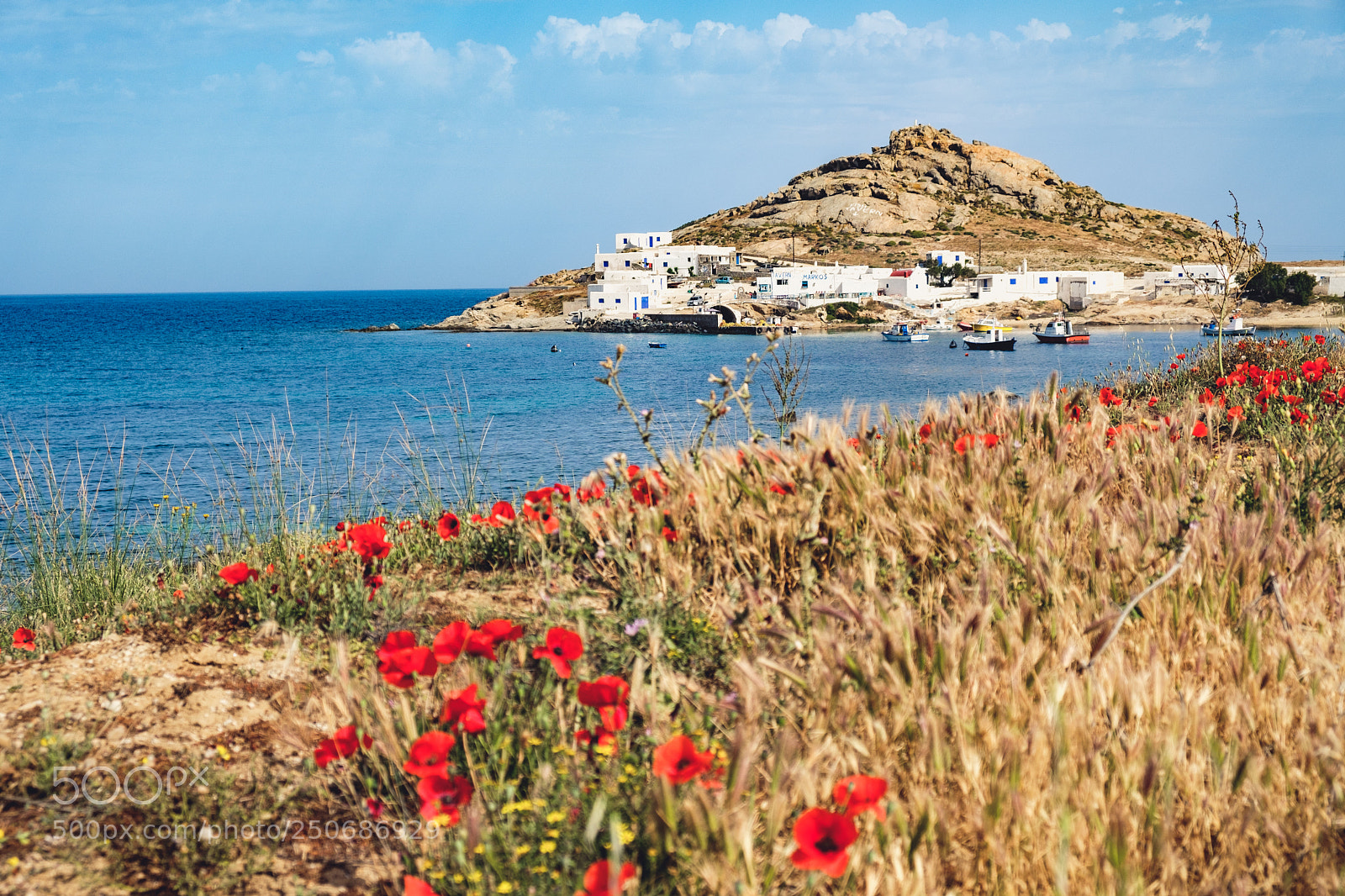 Fujifilm X-T20 sample photo. Poppies on the shore photography