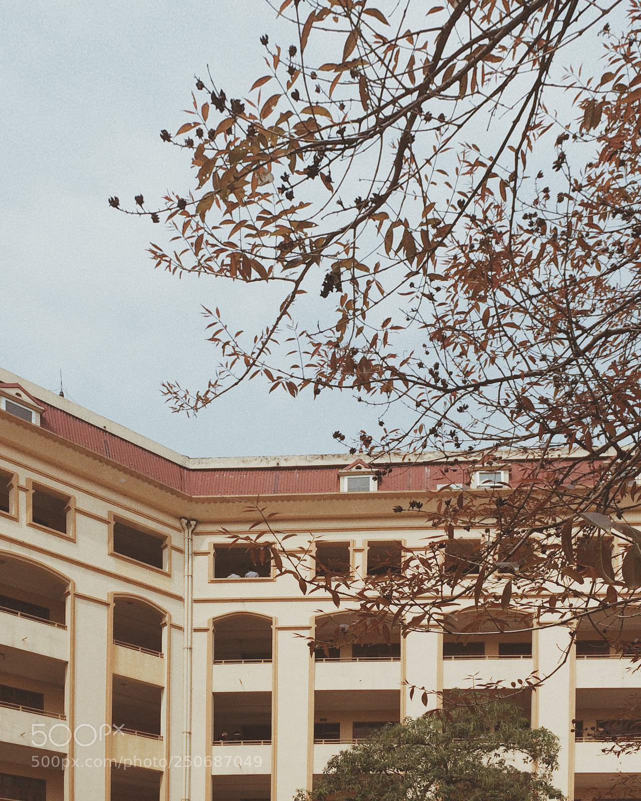 Apple iPhone 5s sample photo. I took a lot photography