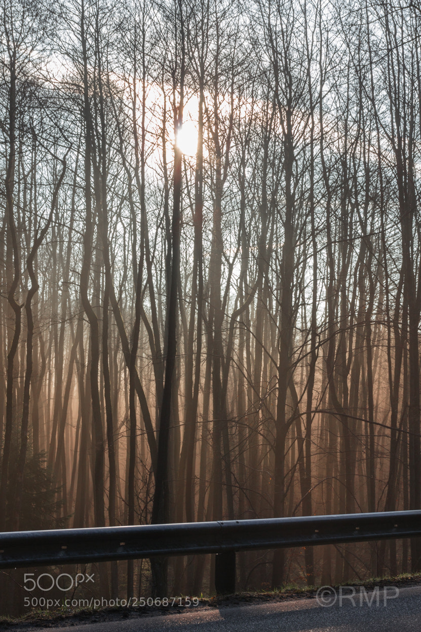 Canon EOS 700D (EOS Rebel T5i / EOS Kiss X7i) sample photo. Sunrise photography