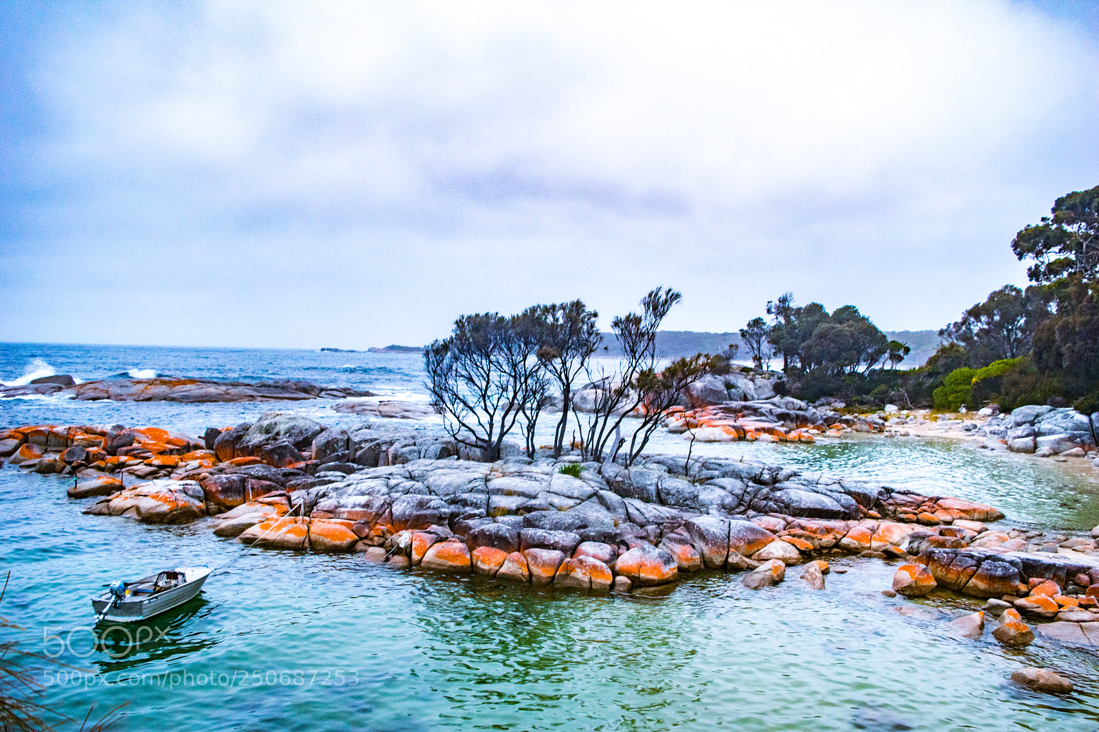 Nikon D5500 sample photo. Bay of fires photography