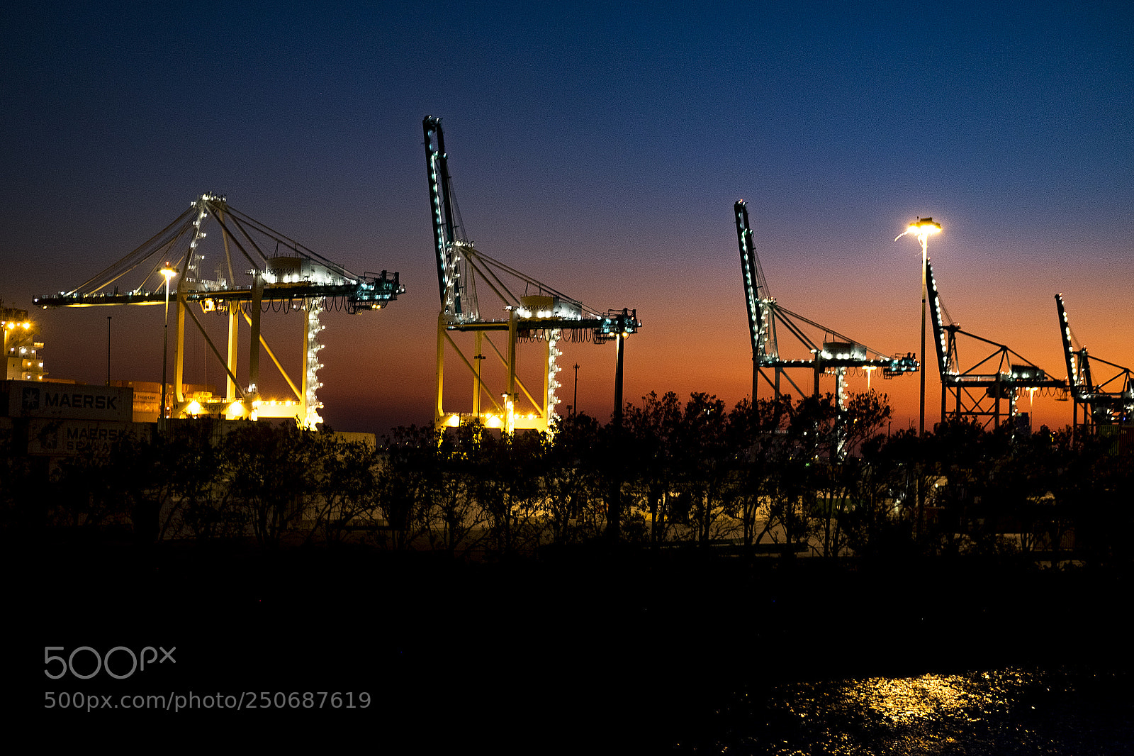 Fujifilm X-T1 sample photo. Cranes waiting photography