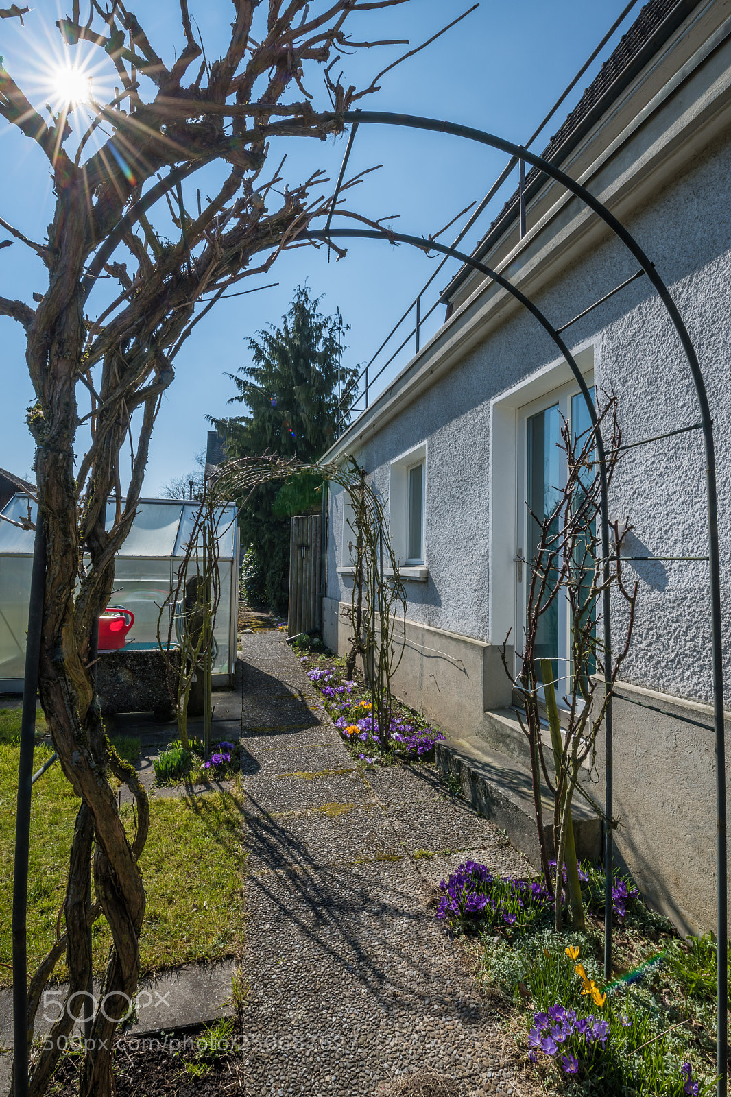 Nikon D850 sample photo. Spring day photography