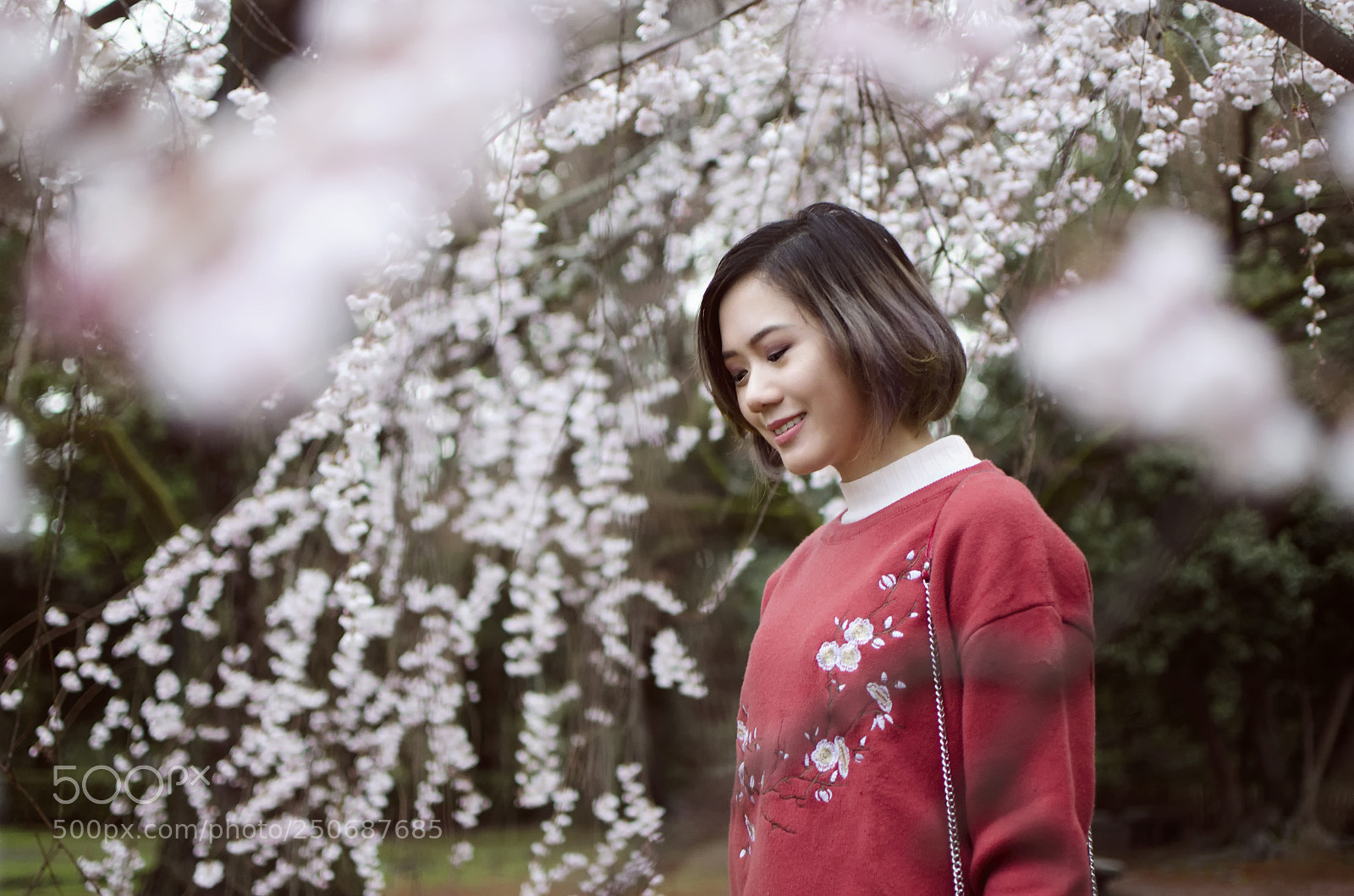 Nikon D7000 sample photo. Camille and her cherry photography