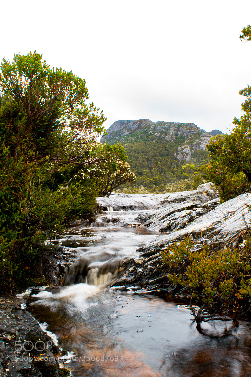 Nikon D5500 sample photo. Stream at cradle mountain photography