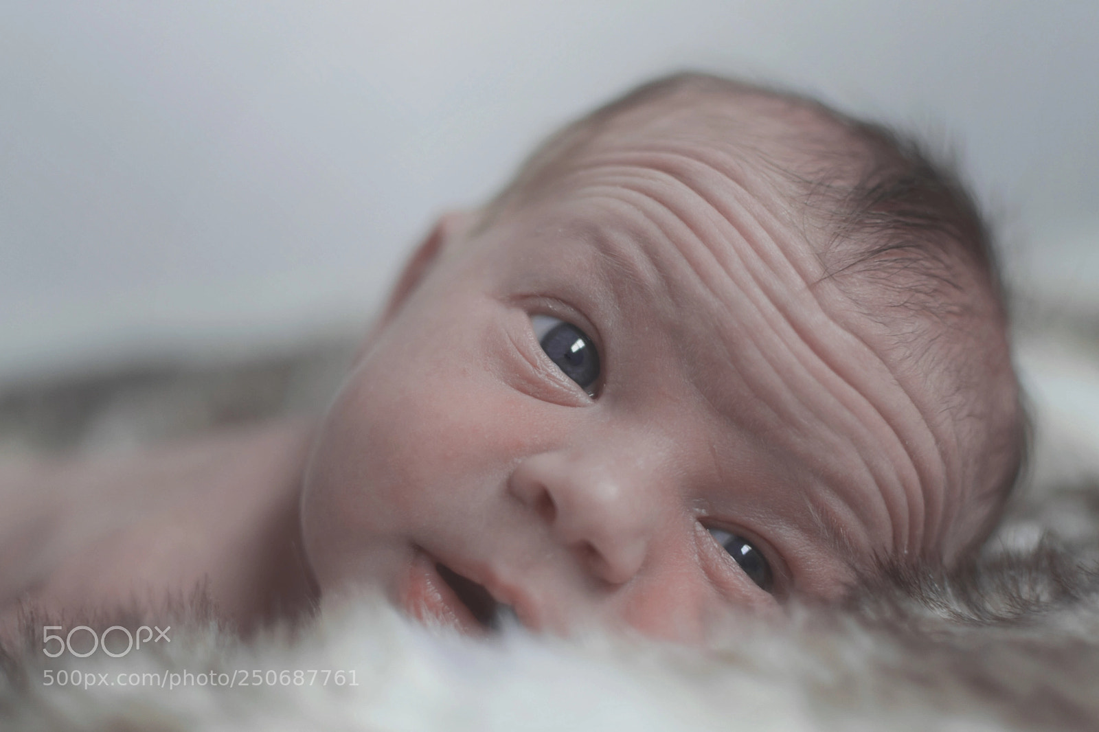 Nikon D5300 sample photo. Untitled photography