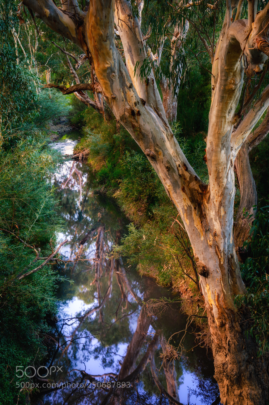 Canon EOS 5D Mark IV sample photo. Plenty river photography