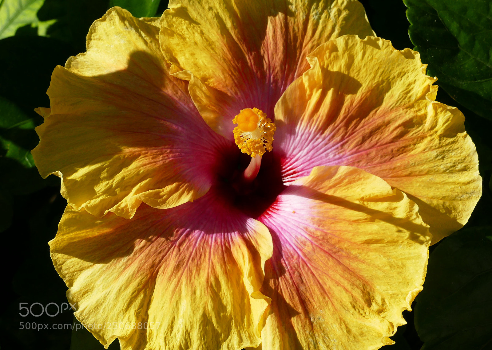 Panasonic Lumix DMC-FZ1000 sample photo. Shadows and light photography