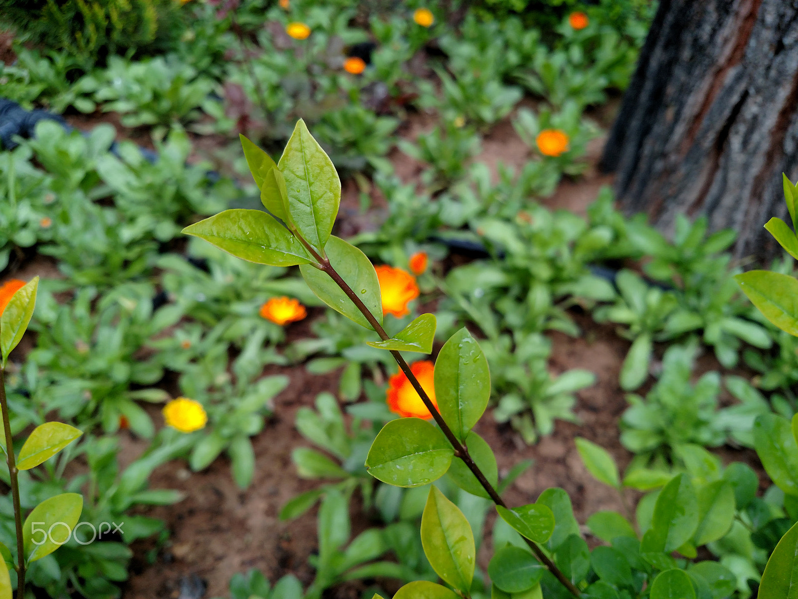 Motorola Droid Turbo sample photo. New branch photography