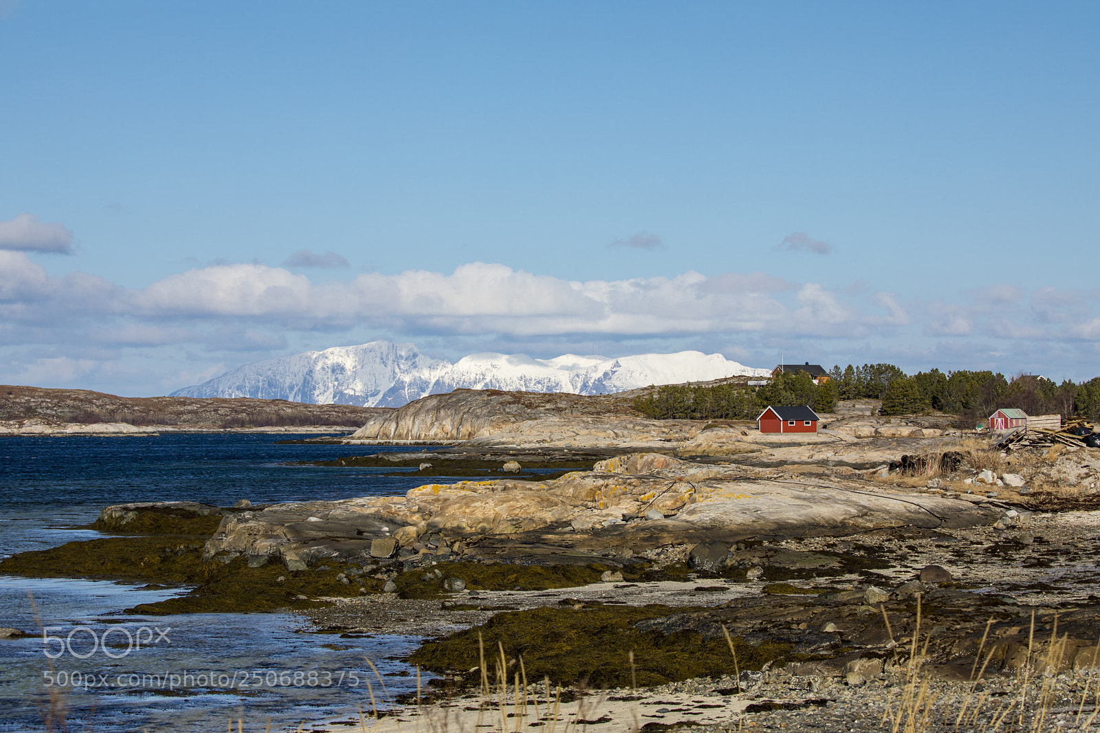 Canon EOS 5D Mark IV sample photo. Spring time photography