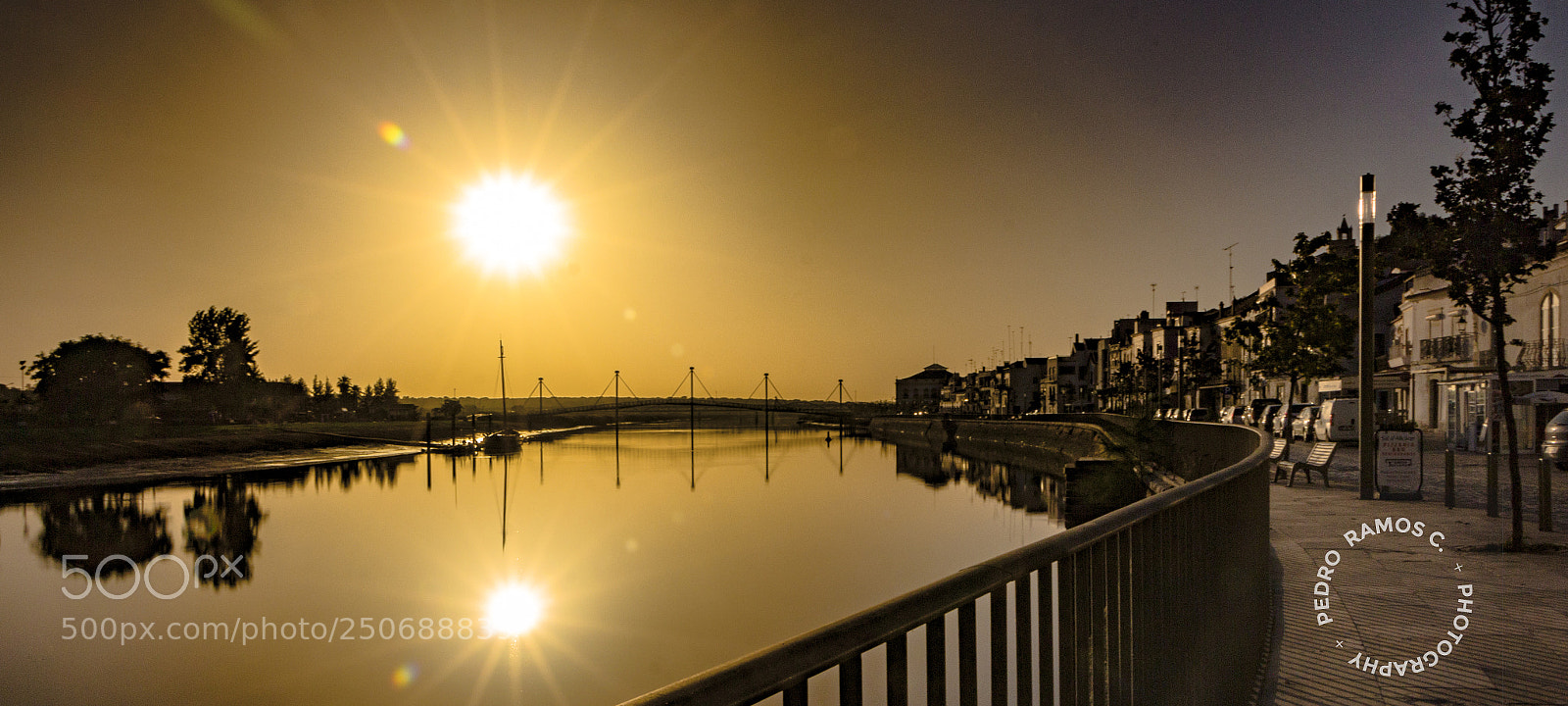 Canon EOS 700D (EOS Rebel T5i / EOS Kiss X7i) sample photo. The last shine photography