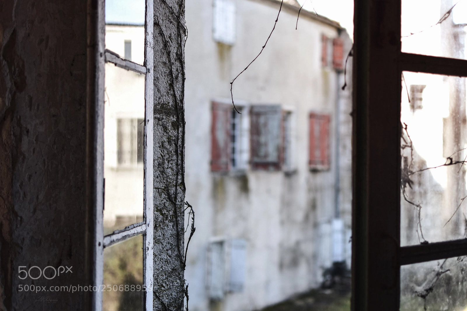 Nikon D5300 sample photo. Untitled photography