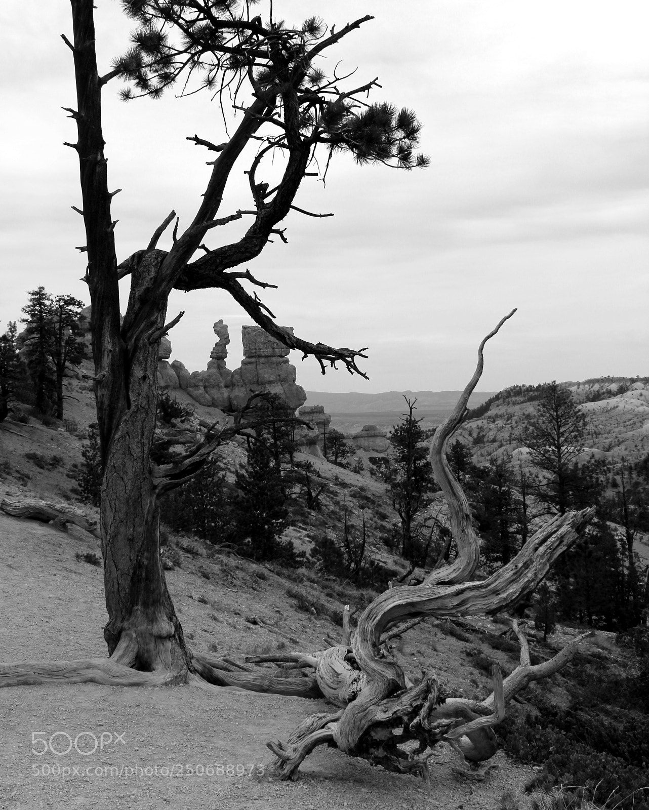 Canon EOS 600D (Rebel EOS T3i / EOS Kiss X5) sample photo. Time passes slowly in photography