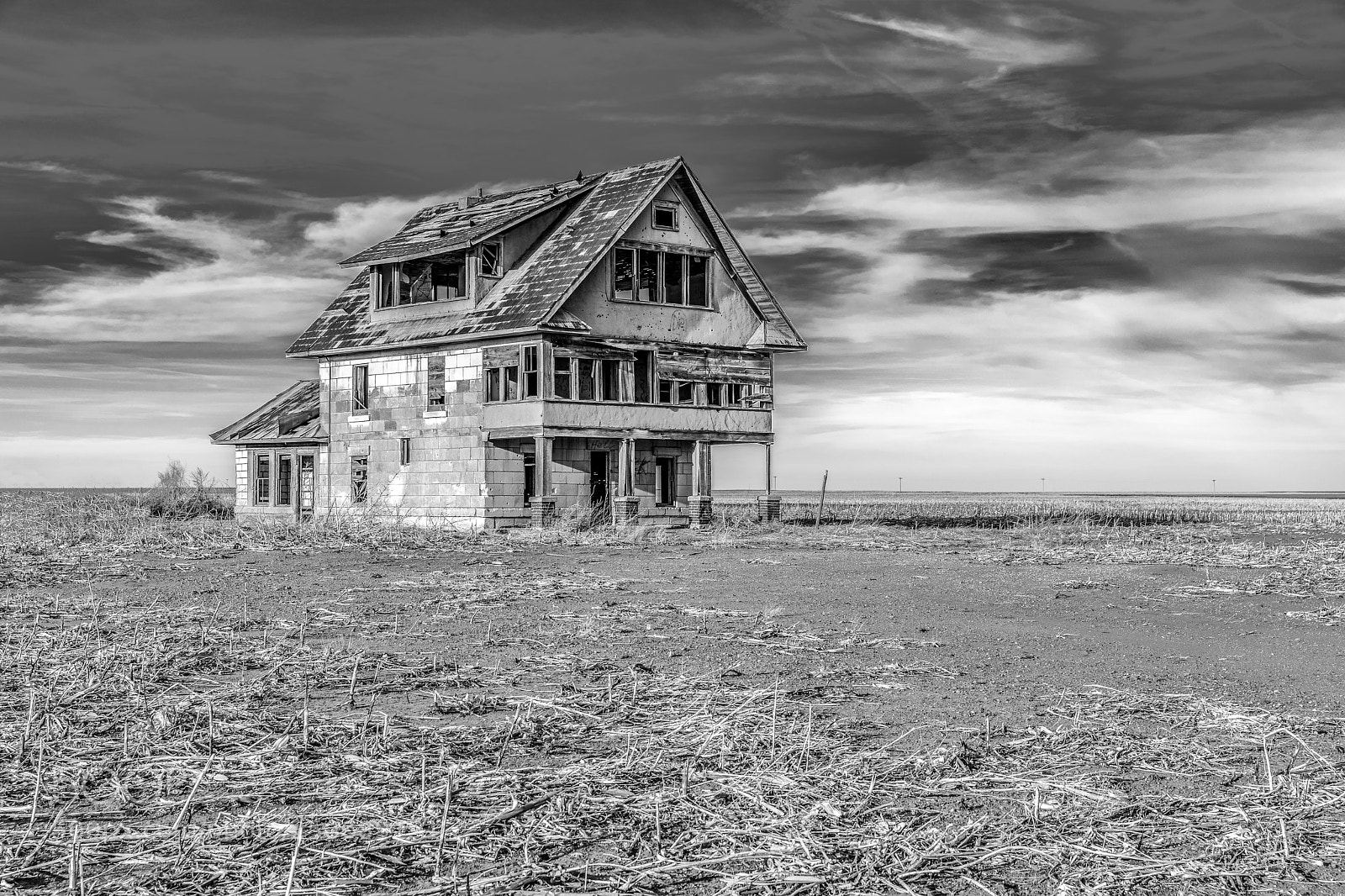 Canon EOS 5D Mark IV sample photo. Majestic black and white photography