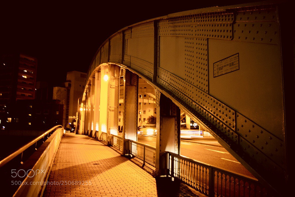 Canon EOS 7D Mark II sample photo. Untitled photography