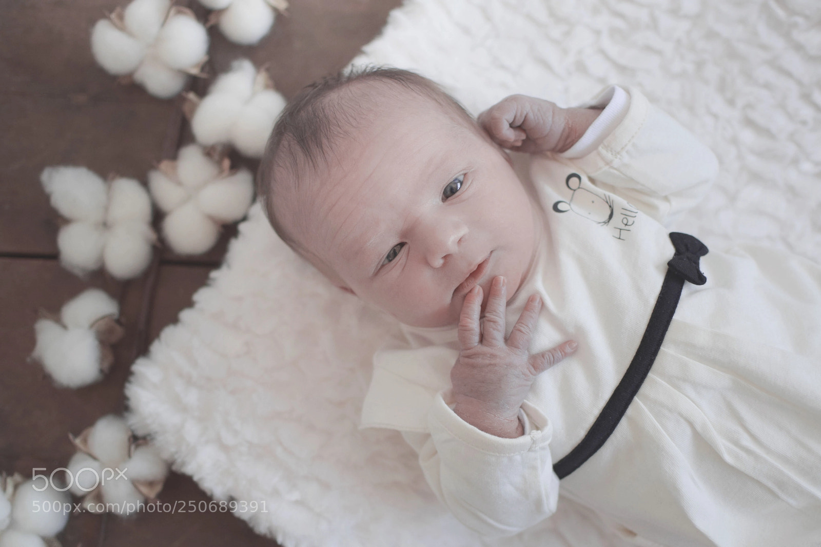 Nikon D5300 sample photo. Untitled photography