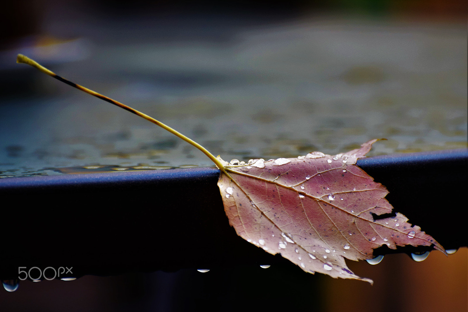 Nikon D5300 sample photo. On the edge. photography