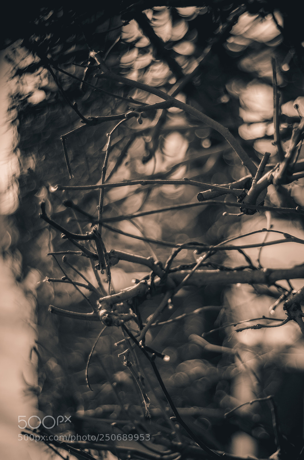 Nikon D5100 sample photo. Spring in the city. photography